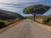 Rural Road in Portugal: Endless Asphalt Under Clear Skies