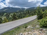 Rural Road in the Pyrenees: A Perfect Escape to Nature