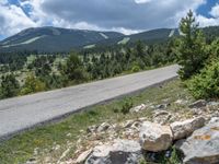 Rural Road in the Pyrenees: A Perfect Escape to Nature