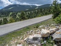 Rural Road in the Pyrenees: A Perfect Escape to Nature