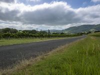 an empty road going through a vineyard area with lush vegetation behind it and mountains beyond