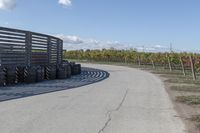 several tires sit next to the road on a sunny day that is lined with rows of vines