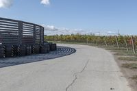 several tires sit next to the road on a sunny day that is lined with rows of vines