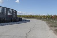 several tires sit next to the road on a sunny day that is lined with rows of vines