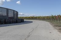 several tires sit next to the road on a sunny day that is lined with rows of vines