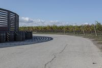 several tires sit next to the road on a sunny day that is lined with rows of vines