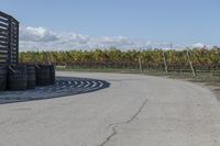 several tires sit next to the road on a sunny day that is lined with rows of vines