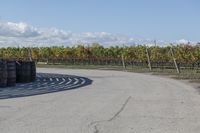 several tires sit next to the road on a sunny day that is lined with rows of vines