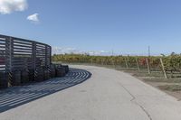 several tires sit next to the road on a sunny day that is lined with rows of vines