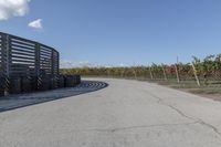 several tires sit next to the road on a sunny day that is lined with rows of vines