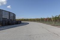 several tires sit next to the road on a sunny day that is lined with rows of vines