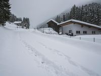 Rural Road: Snow Covered Trees
