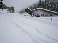 Rural Road: Snow Covered Trees