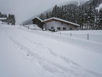 Rural Road: Snow Covered Trees