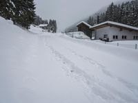 Rural Road: Snow Covered Trees