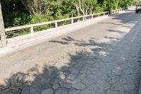 the street has cracks on the cement and fencing around it with trees and bushes on both side