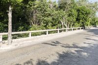 the street has cracks on the cement and fencing around it with trees and bushes on both side