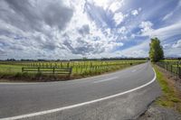 the view of an open road from behind a fence, surrounded by fields and sunflowers