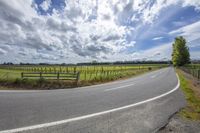 the view of an open road from behind a fence, surrounded by fields and sunflowers