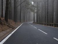 an empty road runs through a dense, foggy forest on a misty morning to the right is a black motorcycle