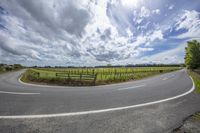 a rural road curving around in a straight direction near trees and grass as an angle looks up at clouds above