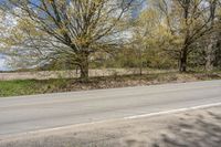 an empty roadway near some tree's and grass on both sides of the street