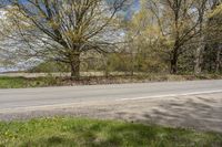 an empty roadway near some tree's and grass on both sides of the street