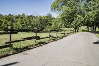 Rural Road with Tree-Lined Green Grass