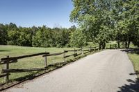 Rural Road with Tree-lined Green Grass (003)