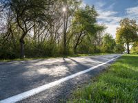 a rural road that has a few trees along it and grass and grass around the roadway