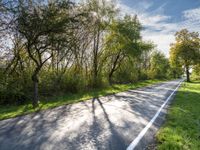 a rural road that has a few trees along it and grass and grass around the roadway