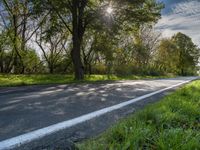 a rural road that has a few trees along it and grass and grass around the roadway