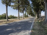 a empty road surrounded by tall green trees on either side of the road and hills in the distance