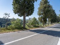 a paved street next to trees on the side of a mountain road with a bench at the end