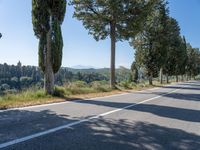 a paved street next to trees on the side of a mountain road with a bench at the end