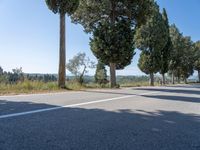 a paved street next to trees on the side of a mountain road with a bench at the end