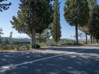 a paved street next to trees on the side of a mountain road with a bench at the end