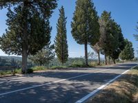 a paved street next to trees on the side of a mountain road with a bench at the end