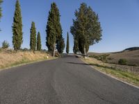 an empty road with several trees on either side of it and no traffic as seen from the center