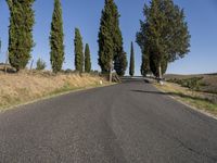 an empty road with several trees on either side of it and no traffic as seen from the center