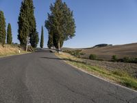 an empty road with several trees on either side of it and no traffic as seen from the center