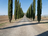 Rural Road in Tuscany, Italy on a Sunny Day