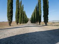 Rural Road in Tuscany, Italy on a Sunny Day