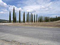 Rural Road in Tuscany, Italy: A Daytime View