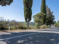 Rural Road in Tuscany, Italy: A Picturesque Landscape