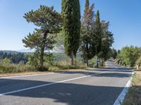 Rural Road in Tuscany, Italy: A Picturesque Landscape