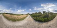 a wide panorama photo showing a rural road on a farm land with a lone road through which you can see a patch in the horizon