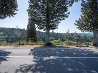 two benches are sitting on a sidewalk overlooking some mountains and woods in the distance are some evergreen trees