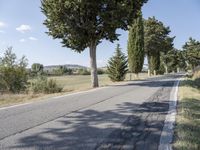 Rural Road in Tuscany, Italy: Tree Shadows Along the Lane