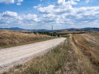 Rural Road in Tuscany: A Daytime Landscape